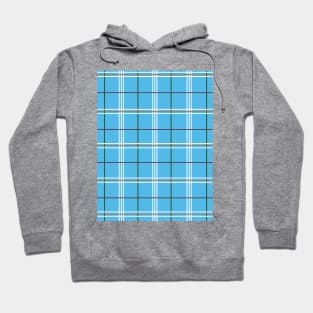 Sky Blue Plaid Hoodie